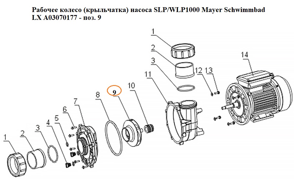 Изображение - 1